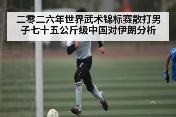 二零二六年世界武术锦标赛散打男子七十五公斤级中国对伊朗分析